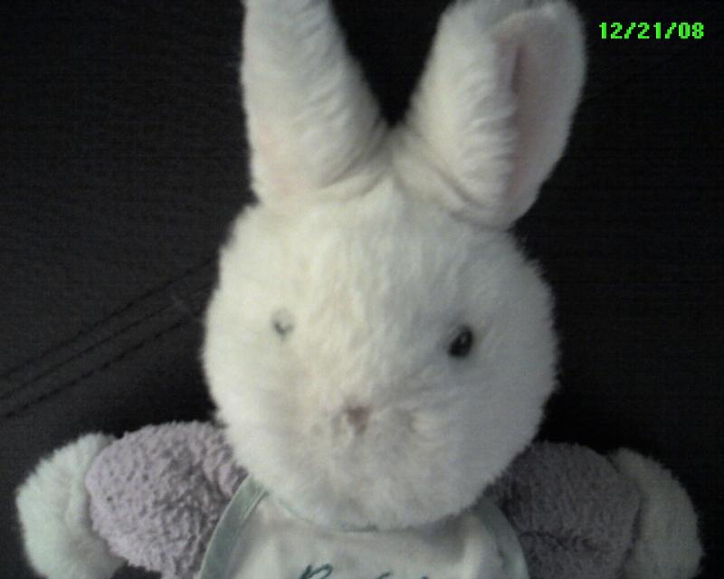 Cuddly toys for our neighbors